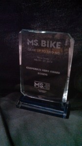 Corporate Hero Award 2014-MS