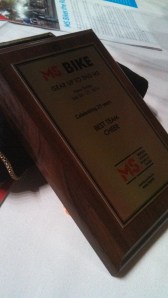 Team Cheer Award - 2014-MS